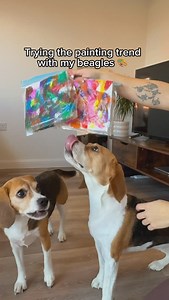 118K views · 459 reactions | Koko’s came out exactly how you’d expect it 藍 I had such high hopes for her too! Gave her such a nice convo of colours… but she just mlemmed them up all together, threw the painting upside down (didn’t catch that on camera sadly), and tried to eat the plastic bag in the process 沈 Would you try this with your pup? Such a cute keepsake! #dog #beagle #funnydog #viralvideos #dogsofinstagram | Beagles Kiki & Koko | Facebook