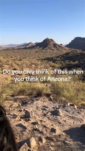 17 reactions | Experience Arizona is ways you never dreamed of with Wild Mustang Treks. We offer a Northern, Southern, and even the Four Corners Trek showing off the gorgeous state of Arizona! Go to wildmustangtreks.com to learn more. #fyp #arizona #horses #wildhorses #adventure | Wildmustangtreks | Facebook