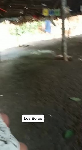 #Iquitos 🇵🇪🇵🇪🇵🇪 #selva #boras El jefe de los Boras nos explica su día día en su tribu.