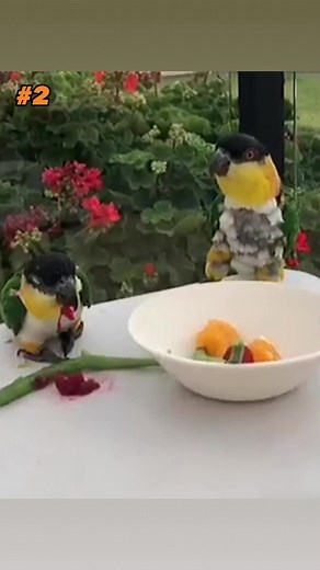 1M views · 45K reactions | Which One’s the Funniest? 樂 Swipe Left/Right for 1 through 5 & also Subscribe for More Exclusive Content! #Voiceover #voiceovers #viralvideos #viralpost #trendingmemes #foryou #foryoupage #edgymemes #edgymemesdaily #funnymemes #funnyvideos #wholesomememes #funnyclips #funniestmemes #funnyvideosdaily #hoodmemes #memesdaily #pixar #disney #discoverychannel #bbc #amazonpets #chewy #petco #chewychattypets #rxckstxr | Rxckstxr | Facebook