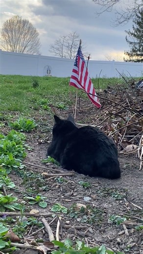 On your mark, get set, go…