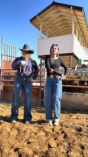 It’s about damn time I learn how to team rope #horses #ropng #cowgirl | malenajanee