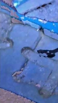 Samsung A04s Frp Memory open Easy jtag Solution #trendingvideo #viralvideo 13 February 2026