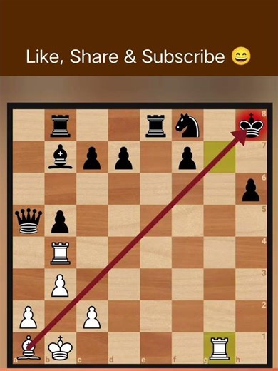 Art of Sniping: Bishop Snipes & Rook Checks #chess #shorts