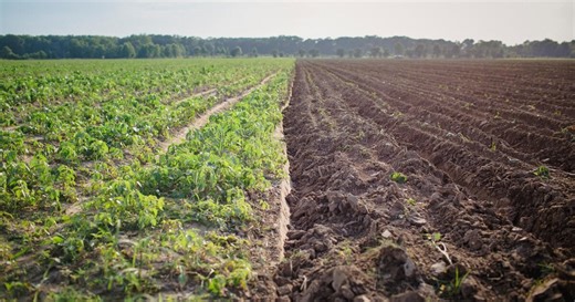 Farming for people, planet, & community in the Mississippi Delta
