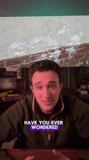 Understanding Efflorescence in Property Renovation