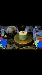 11K views · 203 reactions | July celebration ng mga pango  | Cooshey Cake & Vlogs | Facebook