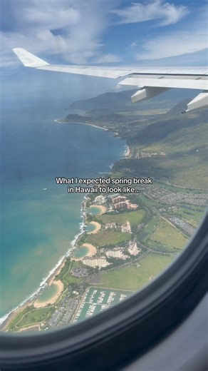 Spring Break in Hawaii 🤙🏻🌺🌊🏄🏻‍♂️🥥🐬🌈 #hawaii #springbreak #oahu #fyp
