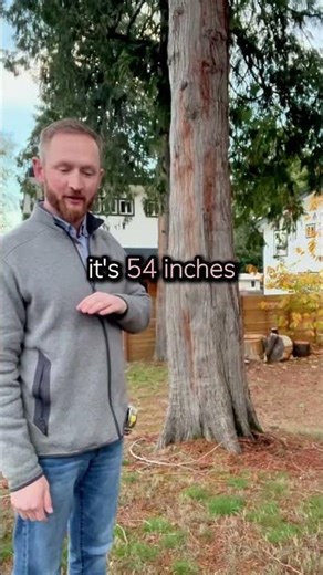 How to Measure Tree Diameter (DBH) Like a Pro | Georgia Buys Property Tips