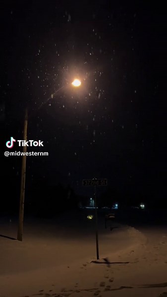 Vintage Street Light Cycling Issue Explained