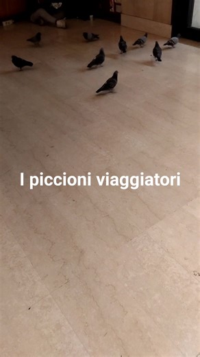 Franco Onorati on Reels