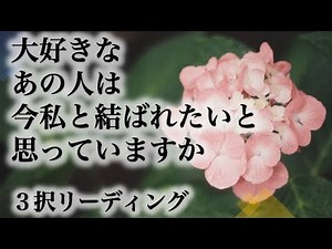 【🍒これを見たときがタイミング！】お相手さんは今私と結ばれたいと思っていますか✨お相手さんが今あなたとどうなりたいと思っているのか✨お相手さんがあなたに何を思っているか✨💕🍓💕 3択リーディング💕🍓💕