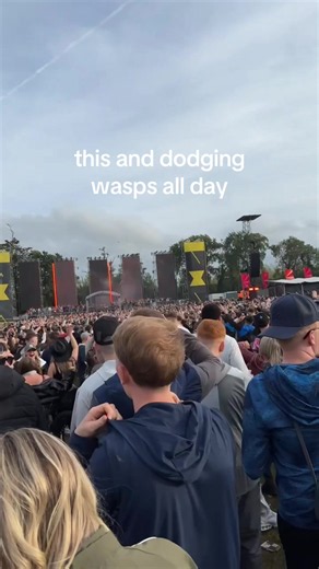 District X festival tips: dodging wasps and enjoying DX