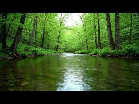 Native American Flute Meditation | River Flow for Peace, Healing & Reflection