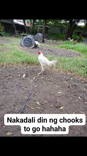 Ruffy Alagos on Reels