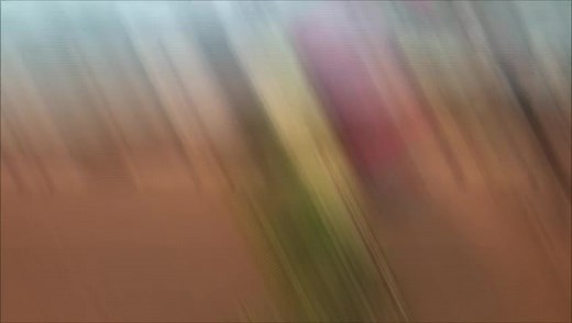 Cultura oficial dos kayapo