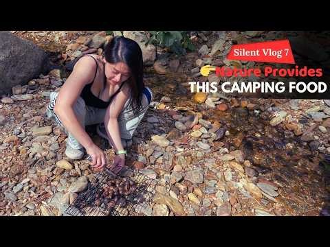 Camping Food from the Forest — Roasting Wild Chestnuts by the Stream