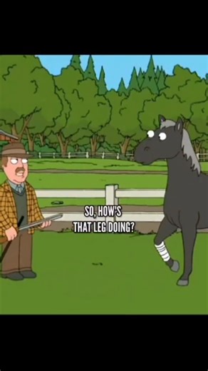 A1 Media Dose on Instagram: "Horses are often euthanized after sustaining severe leg injuries due to a combination of anatomical, physiological, and welfare considerations unique to their species. A horse’s immense weight—often over 1,000 pounds-is supported by slender legs with a complex and delicate structure of bone, tendon, and ligament. This design is superb for speed and power but provides minimal muscular cushioning around the lower limbs, leaving critical structures poorly protected. Cru