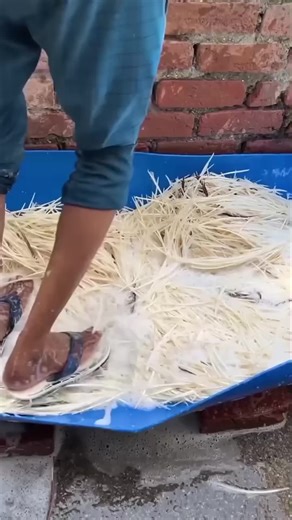 The Fascinating Process of Cork Making