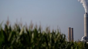 Future 101: Getting rid of fossil fuels solves little in itself