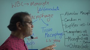 178K views · 3.9K reactions | Dilip's Tip 74: N K cell, Plasma cell, Fibroblast & Tissue Macrophage Pl visit: https://dilipkumarnath.com/ | Dr Dilip Kumar Nath | Facebook
