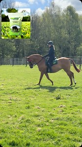 1.2K views · 78 reactions | Two weeks ago we chain harrowed,...