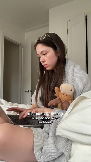 A little bit lighter today, and with it, crushing guilt. #grief #petloss #dogloss #petgrief