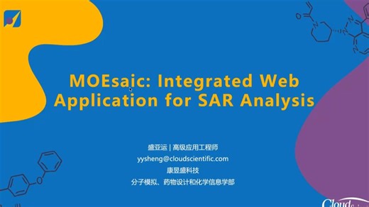 MOEsaic专业化Web端SAR数据智能分析平台