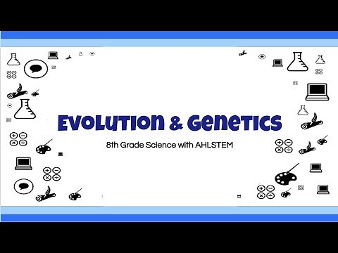 8th Grade Science EOG Review - Evolution & Genetics