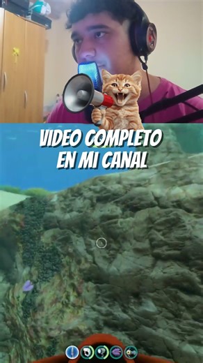 COMO MOLESTA EL COSO!!