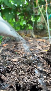 💧 We get asked all the time about our DIY PVC watering system, so here’s the scoop! When we first built it, we were on city water. We kept it super simple - just plugged a hose directly into the PVC using standard PVC fittings (all from our local big box store). Then we’d turn on the hose, and the water flowed evenly throughout the entire bed! 🌱 We’d usually set a reminder to check on it later - sometimes moving the hose or letting it keep running depending on how much water the garden needed.