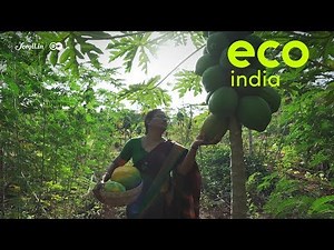 Eco India: How can farmers thrive without using chemical fertilisers?