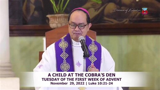 5.3K views · 699 reactions | A CHILD AT THE COBRA’S DEN Homily for...