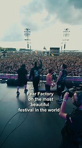 193K views · 5.6K reactions | Po’land Rock Festival was absolutely...