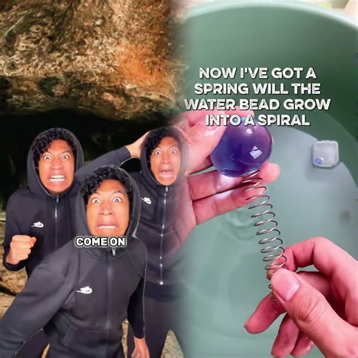 Ants Vs Humans #pov #skit #relatable #comedy