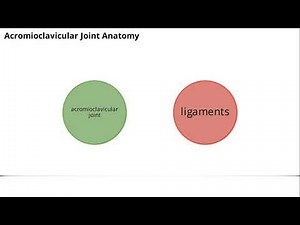 Acromioclavicular Joint Mobilization | Physiotherapy for Pain Relief & Shoulder Mobility