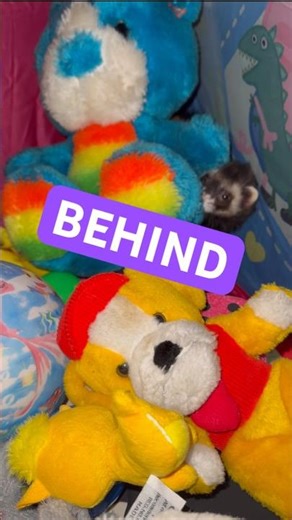 Back‑Channel Assessment