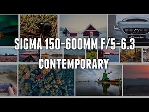 Sigma 150-600mm Review with example pictures