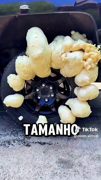 Será que a moda pega? 🛞 #foryou #curiosidades #interessante