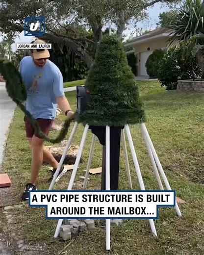 I wish I had known this Christmas tree hack sooner! 🌲😮 | UNILAD Tech