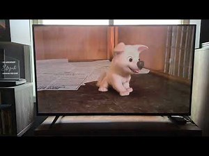 Bolt - Freeform Intro