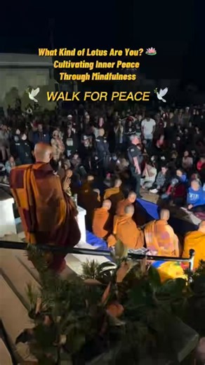 [Bilingual] 🪷 WHAT KIND OF LOTUS ARE YOU? Walk for Peace – Cultivating Inner Peace Through Mindfulness 🎄 Christmas Message In this reflection, Venerable Paññakāra speaks about the four types of lotus, a teaching that helps us understand our own inner condition and the path toward peace. 🌱 The first type of lotus grows beneath the water and never reaches the surface. It represents those who are overwhelmed by suffering, pain, and despair, and who feel unable to rise above their circumstances.