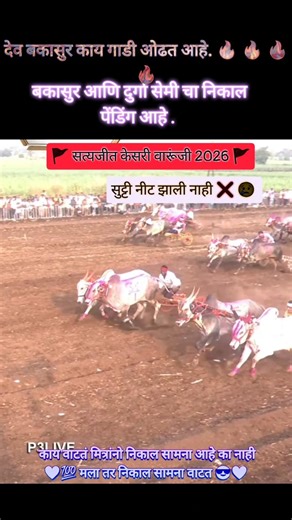 कसा बघितला ना निकालात घुसला माझा देव #बकासुर#bakasur#bailgadasharyat#p3live#trending#sharyat#mathur