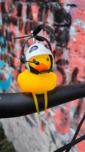 77 reactions · 15 comments | Kaczucha 閭  #dlaciebie #reels #rower #kaczka #humor #disco | Rafał Piętak | Facebook