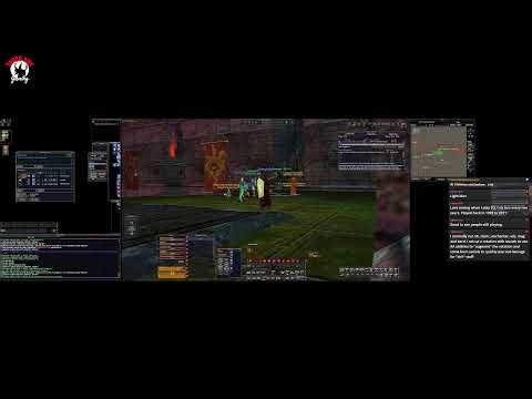 ISBoxer EverQuest Team Setup From Scratch | Live EQ Multiboxing Tutorial