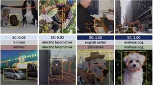 Shared Interest: Measuring Human-AI Alignment to Identify Recurring Patterns in Model Behavior | MIT Visualization Group