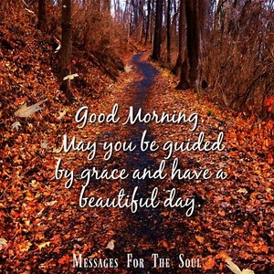 Have a beautiful day today. | Messages For The Soul