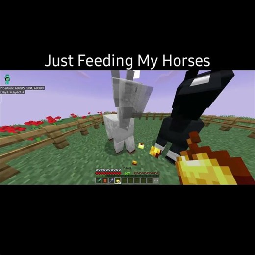 Peacefully Feeding My Horses... 🥀 | Minecraft