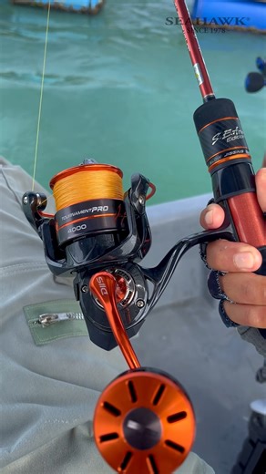 Reel Pilihan Juara Kolam Keli: Seahawk Tournament Pro 🏆 Review penuh Tournament Pro Reel dah tiba! Kalau nak tahu rahsia reel yang boleh handle tekanan tournament, video ni jawapannya 😉 📸: Pro Staff Yaya #TeamSeahawk #SeahawkFishing #CatchWithSeahawk #SeahawkTournamentPro | Team Seahawk Fishing