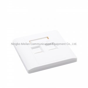 [Hot Item] 3 Port Face Plate RJ45 Network Face Plate Network Cable Socket